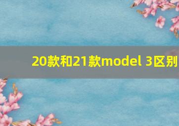 20款和21款model 3区别